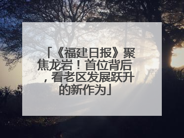 《福建日报》聚焦龙岩！首位背后，看老区发展跃升的新作为
