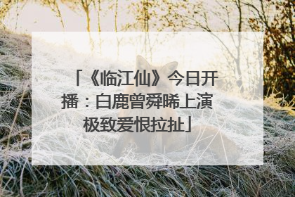 《临江仙》今日开播：白鹿曾舜晞上演极致爱恨拉扯