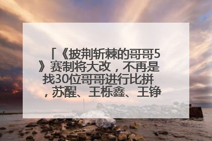 《披荆斩棘的哥哥5》赛制将大改，不再是找30位哥哥进行比拼，苏醒、王栎鑫、王铮亮、张远等多名男团选手被曝将参加