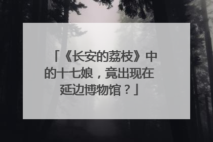 《长安的荔枝》中的十七娘，竟出现在延边博物馆？