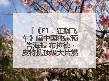 《F1：狂飙飞车》曝中国独家预告海报 布拉德・皮特携顶级大片燃爆暑期