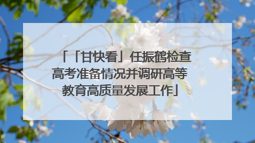 「甘快看」任振鹤检查高考准备情况并调研高等教育高质量发展工作