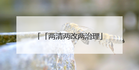 「两清两改两治理」铜仁市松桃自治县石梁乡：“四治”工作法打造和美新农村