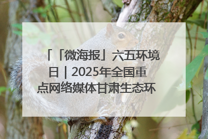 「微海报」六五环境日｜2025年全国重点网络媒体甘肃生态环保行走进凉州区