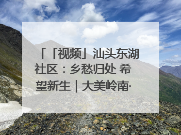 「视频」汕头东湖社区：乡愁归处 希望新生｜大美岭南·百村焕新记