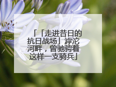 「走进昔日的抗日战场」滹沱河畔，曾驰骋着这样一支骑兵