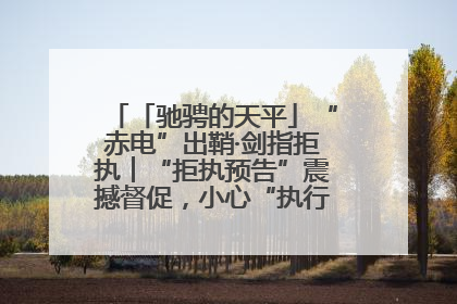 「驰骋的天平」“赤电”出鞘·剑指拒执︱“拒执预告”震撼督促，小心“执行”变“执刑”