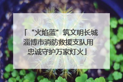 “火焰蓝”筑文明长城 淄博市消防救援支队用忠诚守护万家灯火
