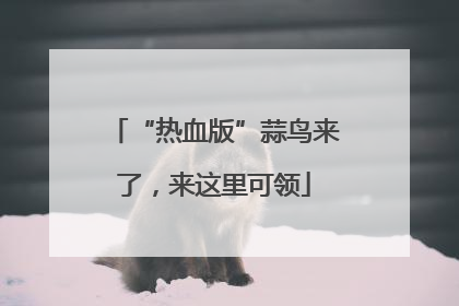 “热血版”蒜鸟来了，来这里可领