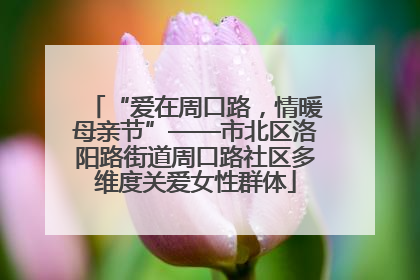 “爱在周口路，情暖母亲节”——市北区洛阳路街道周口路社区多维度关爱女性群体