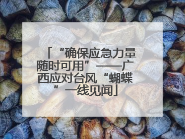“确保应急力量随时可用”——广西应对台风“蝴蝶”一线见闻