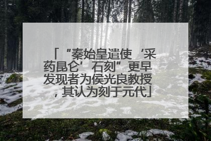 “秦始皇遣使‘采药昆仑’石刻”更早发现者为侯光良教授，其认为刻于元代