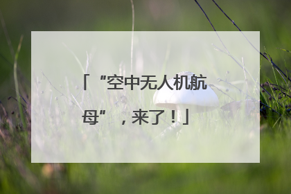 “空中无人机航母”，来了！