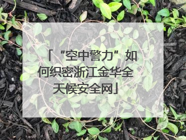 “空中警力”如何织密浙江金华全天候安全网