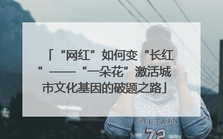 “网红”如何变“长红”——“一朵花”激活城市文化基因的破题之路