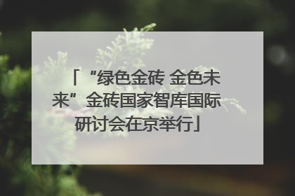 “绿色金砖 金色未来”金砖国家智库国际研讨会在京举行