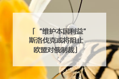 “维护本国利益” 斯洛伐克或将阻止欧盟对俄制裁