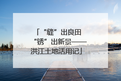 “缝”出良田 “锈”出新景——洪江土地活用记