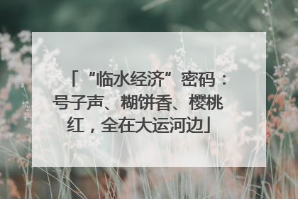 “临水经济”密码：号子声、糊饼香、樱桃红，全在大运河边