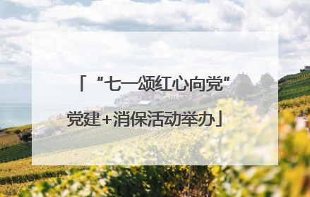 “七一颂红心向党”党建+消保活动举办