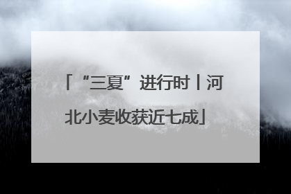 “三夏”进行时丨河北小麦收获近七成