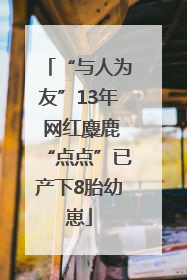 “与人为友”13年 网红麋鹿“点点”已产下8胎幼崽