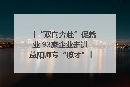 “双向奔赴”促就业 93家企业走进益阳师专“揽才”