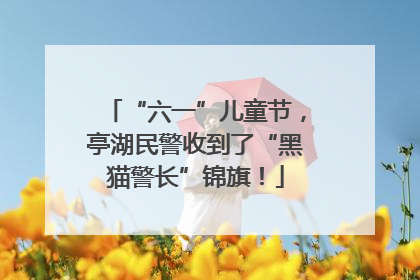 “六一”儿童节，亭湖民警收到了“黑猫警长”锦旗！