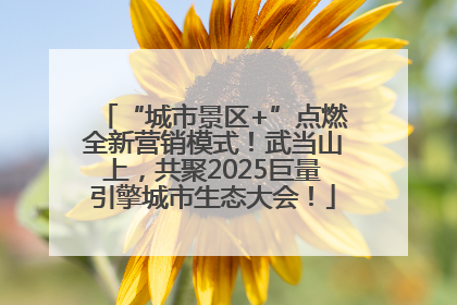 “城市景区+”点燃全新营销模式！武当山上，共聚2025巨量引擎城市生态大会！