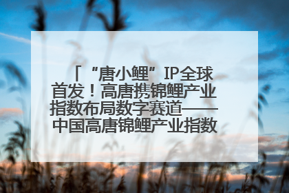 “唐小鲤”IP全球首发！高唐携锦鲤产业指数布局数字赛道——中国高唐锦鲤产业指数暨“唐小鲤”IP全球首发仪式在杭州举行
