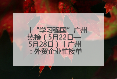 “学习强国”广州热榜（5月22日—5月28日）丨广州：外贸企业忙接单 港口码头忙出货