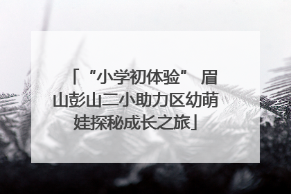 “小学初体验” 眉山彭山二小助力区幼萌娃探秘成长之旅