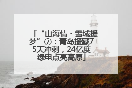 “山海情・雪域援梦”⑦：青岛援藏75天冲刺，24亿度绿电点亮高原