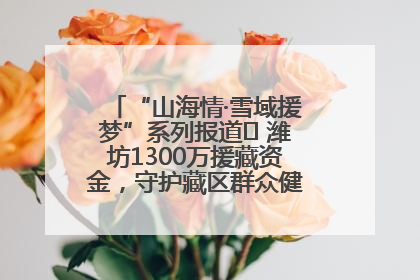 “山海情·雪域援梦”系列报道⑪ 潍坊1300万援藏资金，守护藏区群众健康“最后一公里”