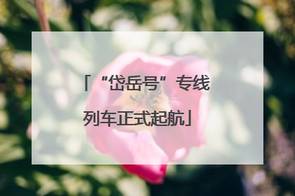 “岱岳号”专线列车正式起航