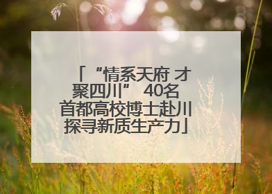 “情系天府 才聚四川” 40名首都高校博士赴川探寻新质生产力