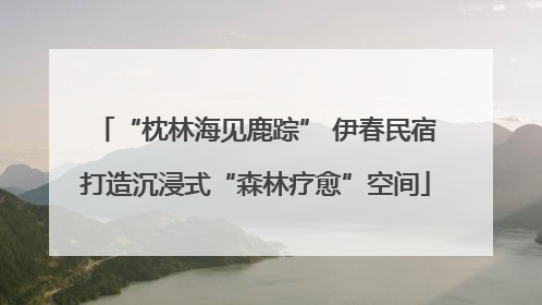 “枕林海见鹿踪” 伊春民宿打造沉浸式“森林疗愈”空间