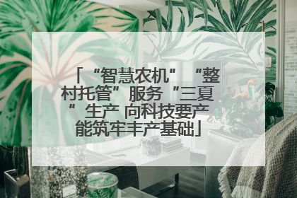 “智慧农机”“整村托管”服务“三夏”生产 向科技要产能筑牢丰产基础
