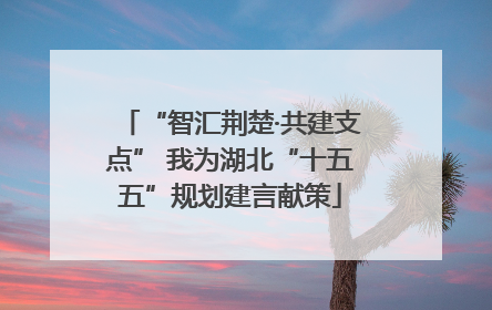 “智汇荆楚·共建支点” 我为湖北“十五五”规划建言献策