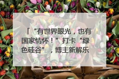 “有世界眼光，也有国家情怀！”打卡“绿色硅谷”，博主新解乐山｜网络名人四川行