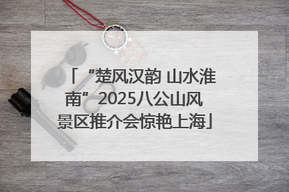 “楚风汉韵 山水淮南”2025八公山风景区推介会惊艳上海