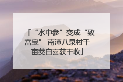 “水中参”变成“致富宝” 南漳八泉村千亩茭白喜获丰收