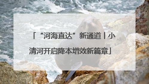 “河海直达”新通道丨小清河开启降本增效新篇章