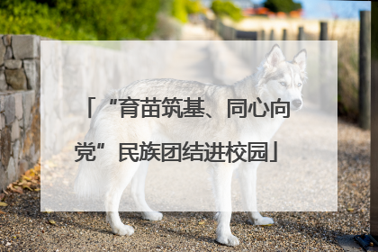 “育苗筑基、同心向党”民族团结进校园