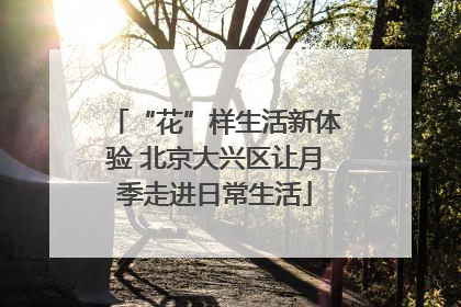 “花”样生活新体验 北京大兴区让月季走进日常生活