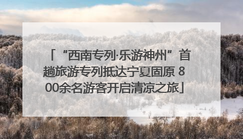 “西南专列·乐游神州”首趟旅游专列抵达宁夏固原 800余名游客开启清凉之旅
