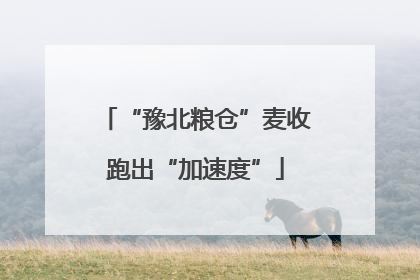 “豫北粮仓”麦收跑出“加速度”