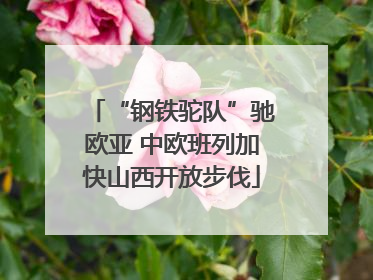 “钢铁驼队”驰欧亚 中欧班列加快山西开放步伐