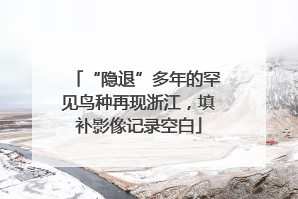 “隐退”多年的罕见鸟种再现浙江，填补影像记录空白