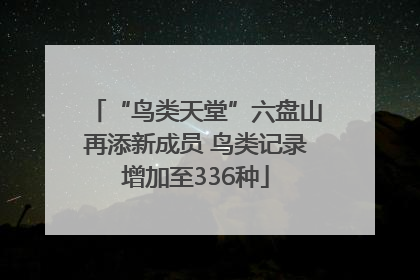 “鸟类天堂”六盘山再添新成员 鸟类记录增加至336种